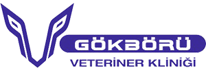 Gökbörü Veteriner Kliniği